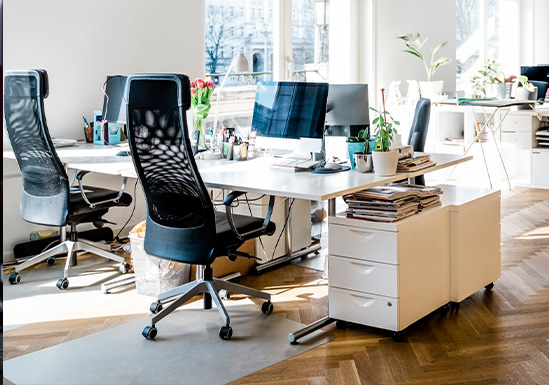 Civil Rights, Human Rights, & Workplace Disputes