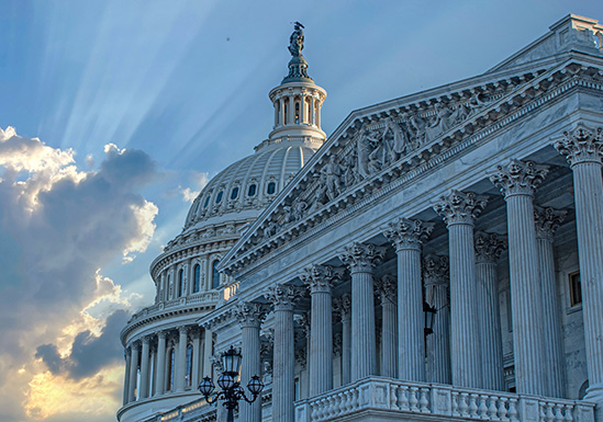 Government Regulation