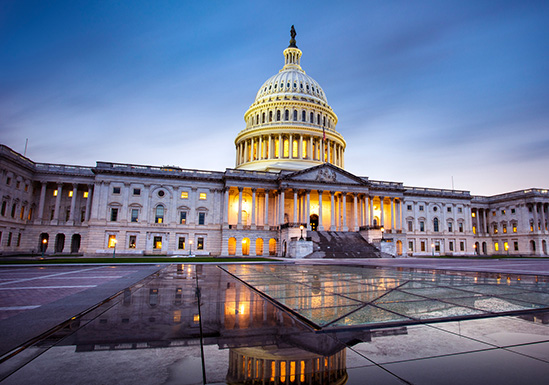 Stopping Government Fraud